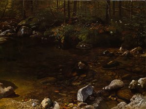 Schattiger Teich, Weiße Berge, New Hampshire, ca. 1869 von Albert Bierstadt