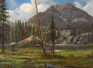 Südliche Sierra Nevada Berge von Albert Bierstadt