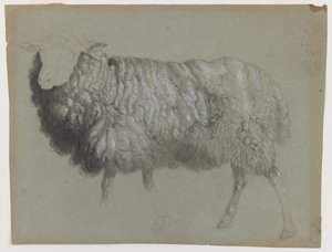 Studie eines Mutterschafs, ca. 1855