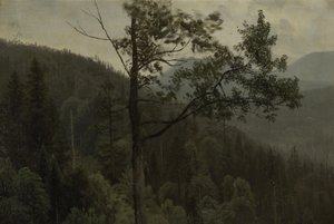 Baumbedeckte Berge von Albert Bierstadt