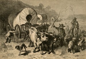Auswanderung in das westliche Land, 1877