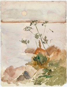 Küste im Mondlicht von Albert Edelfelt