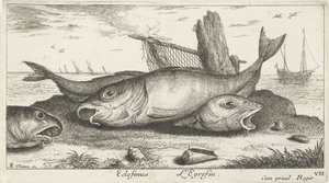 Drei Schellfische am Strand