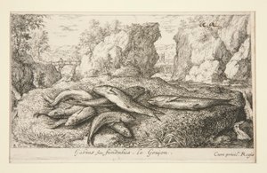 Gabius siue fundulus. Le Goujon von Albert Flamen
