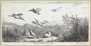 Der Eisvogel von Albert Flamen