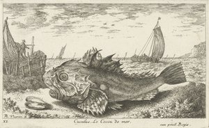 Poon am Strand von Albert Flamen