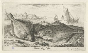 Zwei Plattfische am Strand