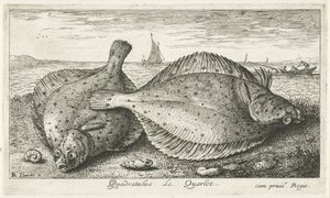Zwei Schollen am Strand