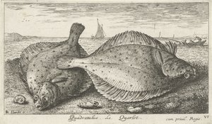 Zwei Schollen am Strand
