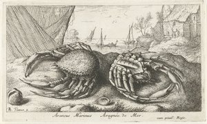 Zwei Spinnenkrabben bei einem Fischernetz von Albert Flamen
