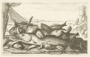 Fischfang mit Einsiedlerkrebs