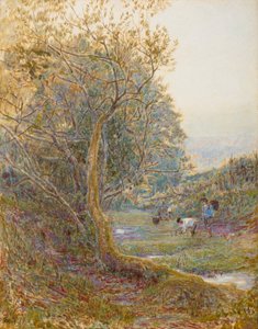 Ein Weg in Devonshire