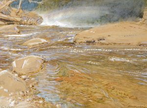 Die Stromschnellen / Über dem Wasserfall von Albert Goodwin