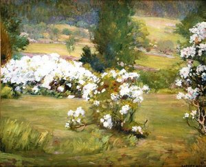 Blühende Blumen, ca. 1925 von Albert Herter