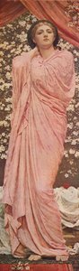 Blüten von Albert Moore