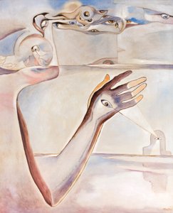 Das Auge und der menschliche Geist