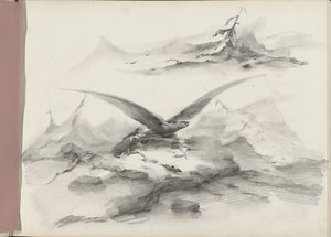 Adler fliegend über eine Küste mit Bergen