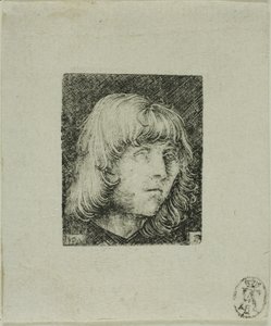 Kopf eines jungen Mannes von Albrecht Altdorfer