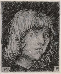 Kopf eines jungen Mannes von Albrecht Altdorfer