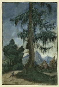 Landschaft mit Fichte