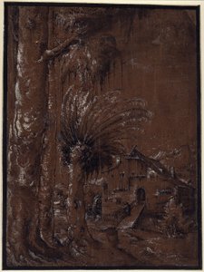 Landschaft mit Wassermühle von Albrecht Altdorfer