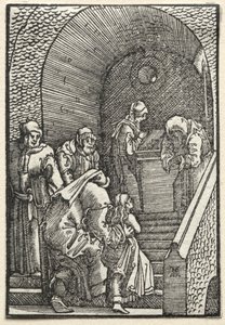 Der Fall und die Erlösung des Menschen: Die Darstellung der Jungfrau im Tempel, 1515 von Albrecht Altdorfer