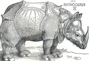 Ein Nashorn, 1515, 1906