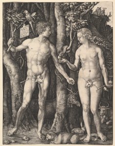 Adam und Eva von Albrecht Dürer
