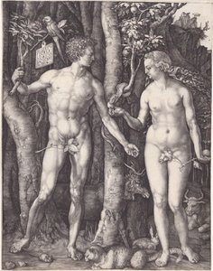 Adam und Eva von Albrecht Dürer