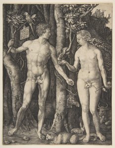 Adam und Eva von Albrecht Dürer