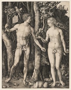 Adam und Eva von Albrecht Dürer
