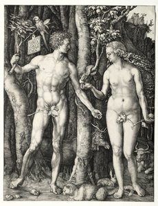 Adam und Eva, 1504
