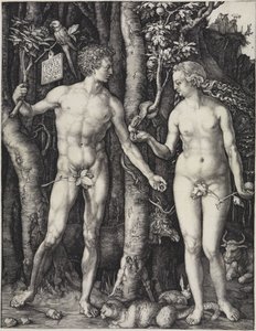  von Albrecht Dürer