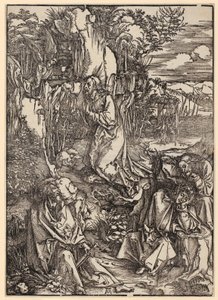  von Albrecht Dürer