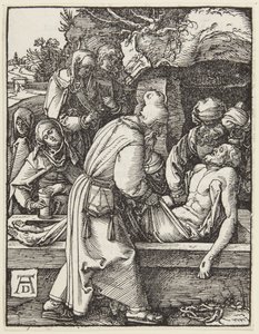 von Albrecht Dürer