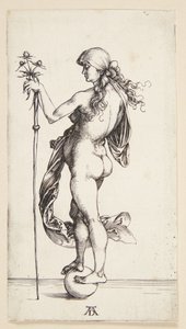 Fortuna