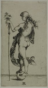 Fortuna von Albrecht Dürer
