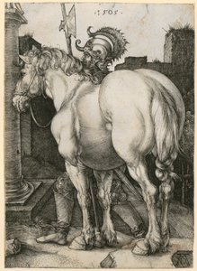 Großes Pferd von Albrecht Dürer