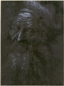 Kopf eines 93-jährigen Alten von Albrecht Dürer