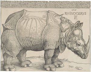 Das Nashorn