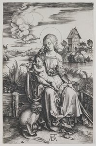 Madonna mit dem Affen von Albrecht Dürer