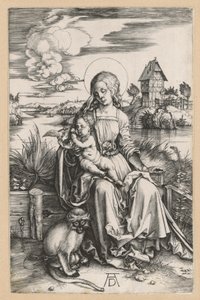 Maria mit dem Kind und der Meerkatze von Albrecht Dürer