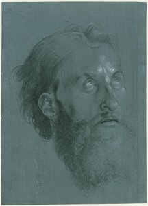 Nach rechts gewandter Kopf eines Apostels von Albrecht Dürer
