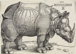 Das Rhinozeros von Albrecht Dürer