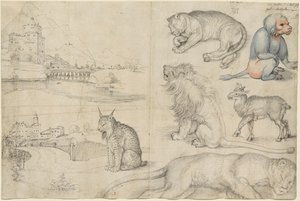 Skizzen von Tieren und Landschaften, 1521