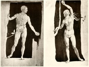 Studien zu Adam und Eva von Albrecht Dürer