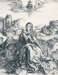 Die Heilige Familie mit der Libelle, 1495