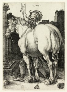 Das große Pferd von Albrecht Dürer