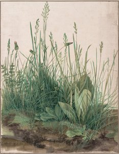 Das große Rasenstück von Albrecht Dürer