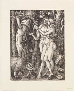 Die kleine Passion: Der Sündenfall von Albrecht Dürer